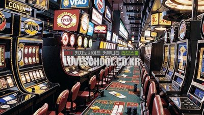 식보 라이브 카지노 베팅 전략과 방법!